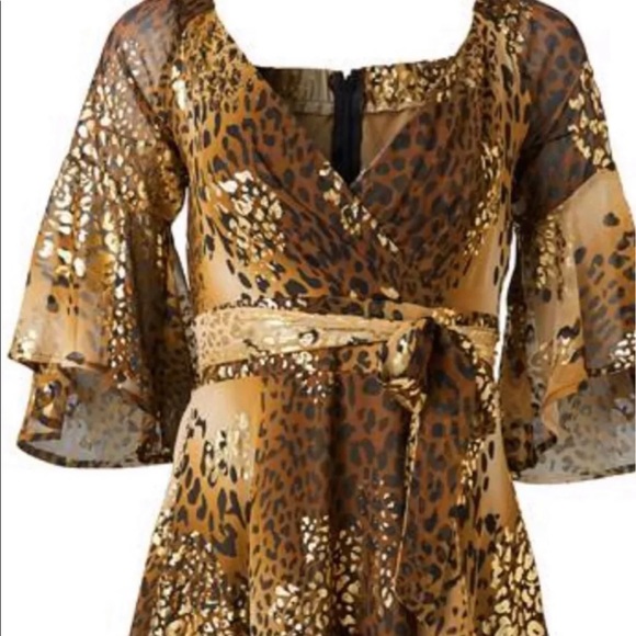 Leopard Print Dress - Picture 3 of 6